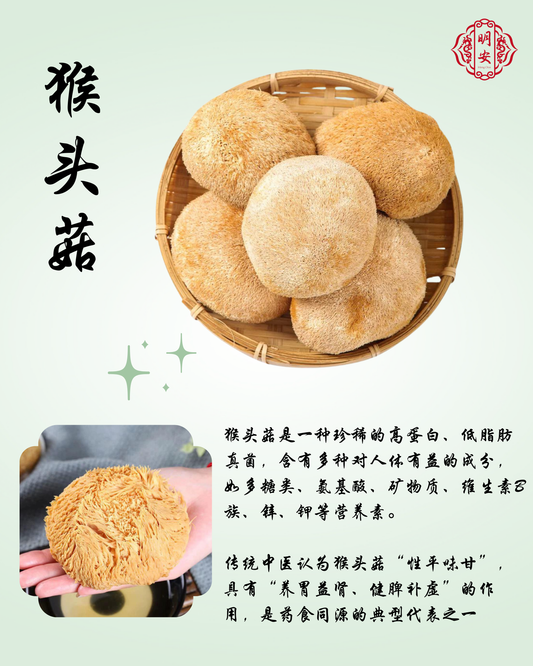 猴头菇, Lion's Mane Mushroom