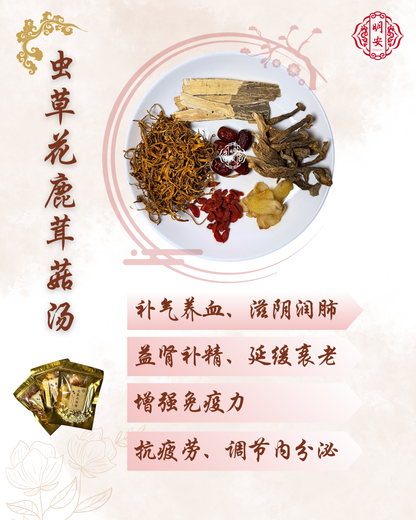 虫草花鹿茸菇汤, Cordyceps Antler Mushroom Soup