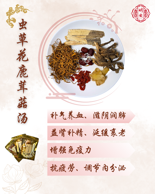 虫草花鹿茸菇汤, Cordyceps Antler Mushroom Soup