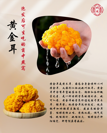 黄金耳, Gold Fungus