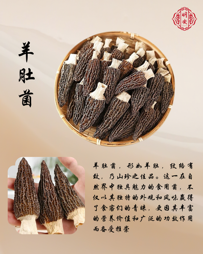 羊肚菌, Morel Mushroom