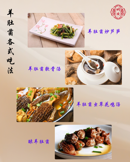羊肚菌, Morel Mushroom