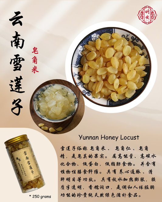 雲南雪蓮子,  Yunnan Honeylocust