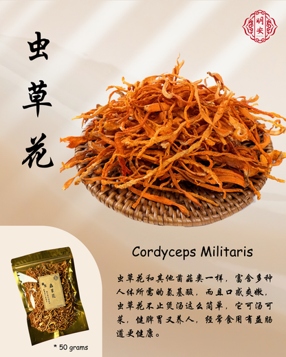 蟲草花, Cordyceps Flowers